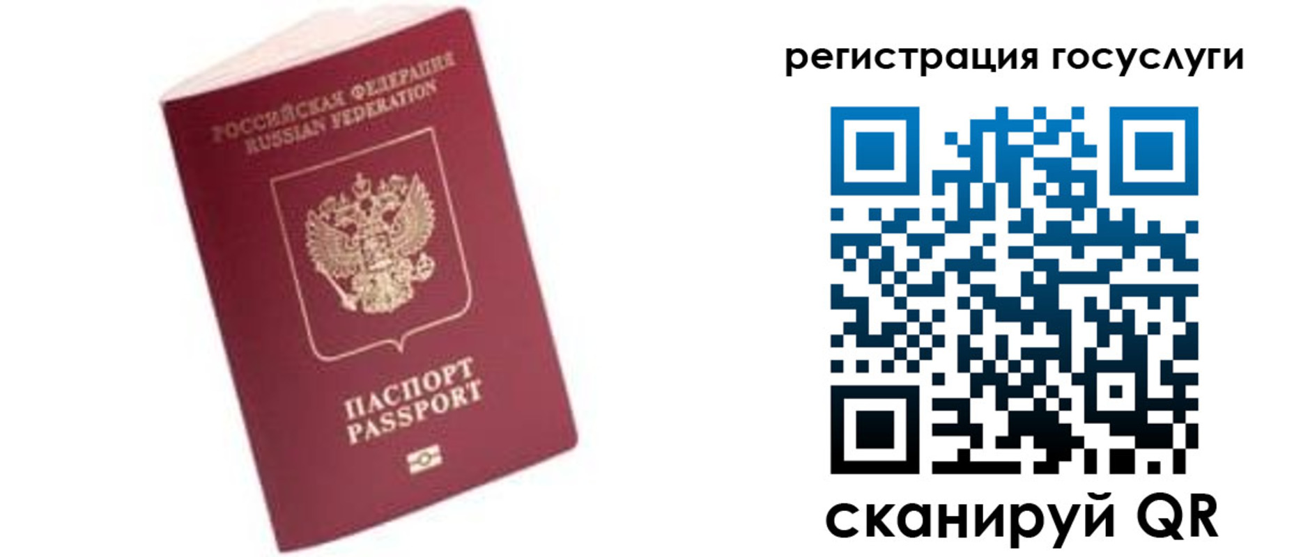 прописка поиск в Балашихе